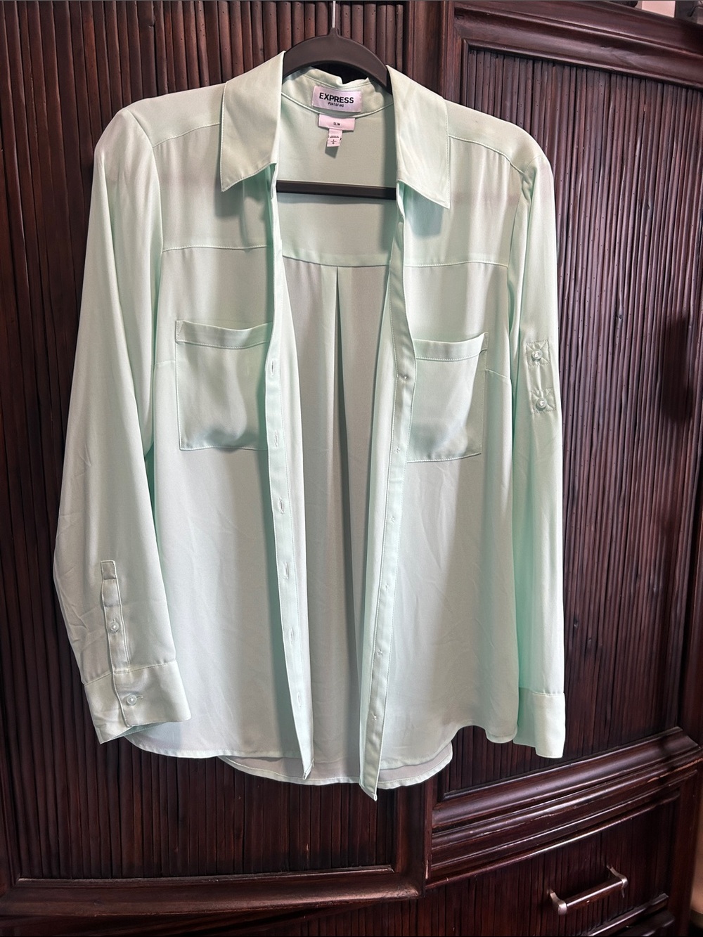 Express Light Mint Green Button-Down Shirt